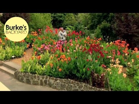 download lagu mp3 mp4 Canna Gardening, download lagu Canna Gardening gratis, unduh video klip Canna Gardening