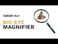 Kids Best Magnifier | Carson Kids Magnifier With 2x Power |🔥