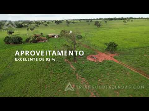 Fazenda a Venda em Carneirinho MG - Triangulo Mineiro - Minas Gerais