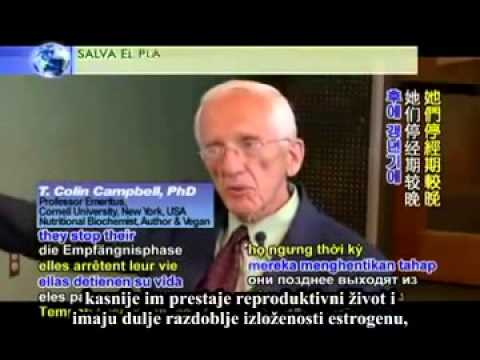 Smanjenje rizika od obolijevanja kroz vegansku prehranu