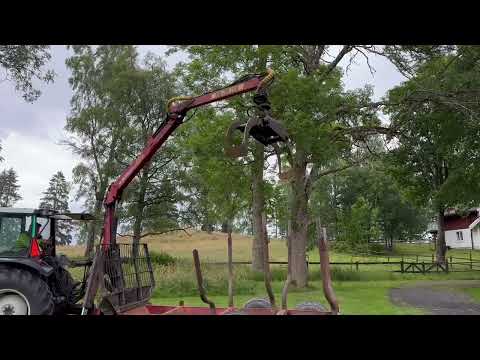 Videoklipp