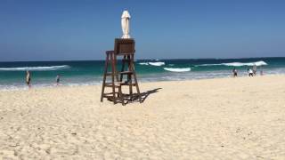 Timothy Brown Avon Man in Punta Cana!  trim F8F01E37 64DF 4E38 AABC w