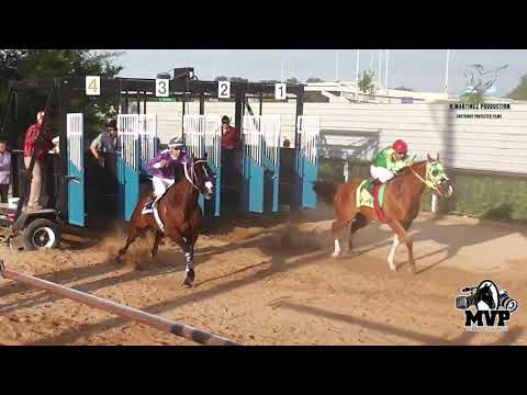 La Copa De Oro vs El Gato Americano 2016