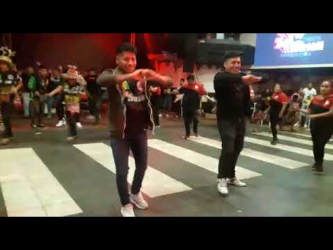 TINKUS SAN SIMON ARGENTINA (CHASKAS)