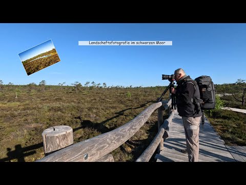 Fotografieren im Schwarzen Moor (Rhön)