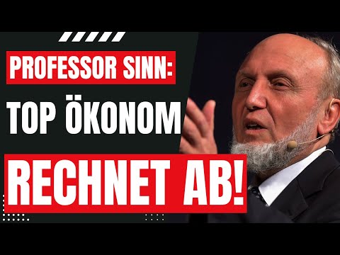 Hans-Werner Sinn warns: Is Germany facing economic collapse?