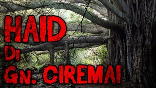 Download lagu 3 Cerita HOROR Pendakian Gunung CIREMAI - GA BISA TIDUR | Pendakian Horrormu #31 mp3