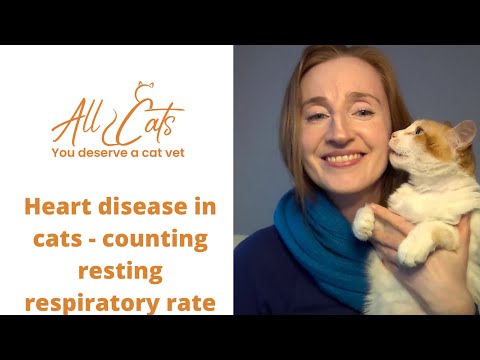 Heart disease in cats - counting resting respiratory rate