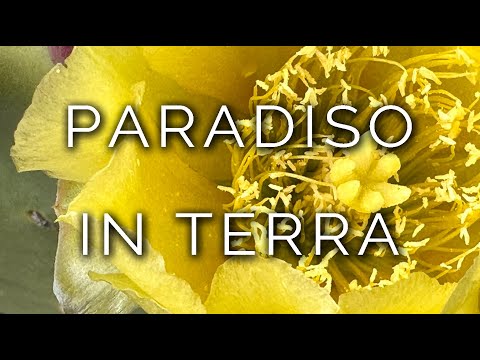 1551-IT Flora, PARADISO IN TERRA - Ipnosi Esoterica ∞ Lucio Carsi