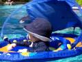 Ben S First Swim A Pool