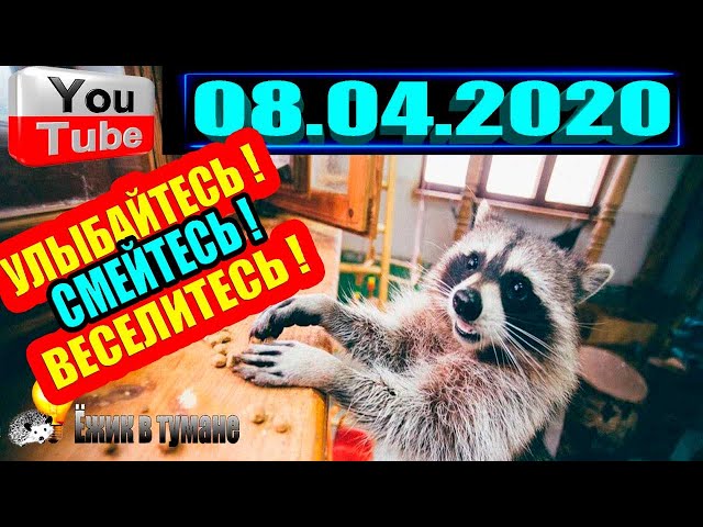 ПОДБОРКА Лучших Приколов