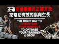 正確安排鍛煉的正確方法來幫助有效的肌肉生長 (Right Way to Structure Your Training & Grow) | IFBB Pro Terrence Teo
