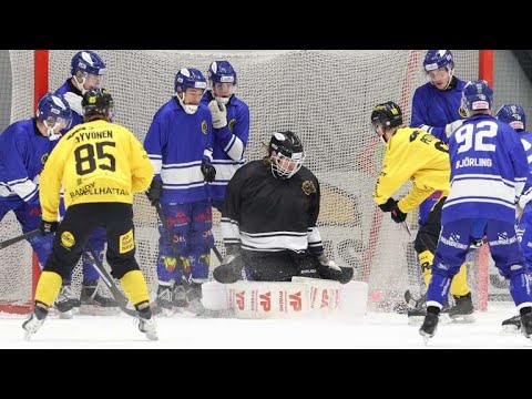 «Villa Lidköping BK»-«Gripen Trollhättan BK» 5 Jan  Elitserien 2025/2026