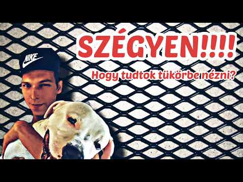 tothbrunoandras93’s Video 166621254955 DZkbRTtf064