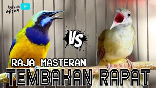 Download lagu 🔴RAJA MASTERAN TEMBAKAN RAPAT CUCAK CUNGKOK VS KAPAS TEMBAK GACOR video ini berjeda mp3