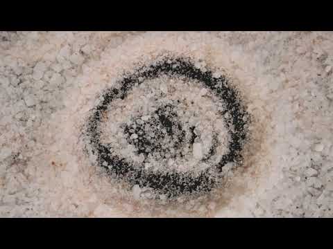 Bartłomiej Szlendak