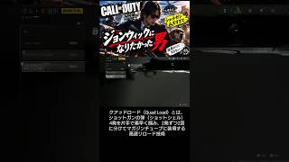 [MW4ベータ]どうしてもジョンウィックになりたい男の末路