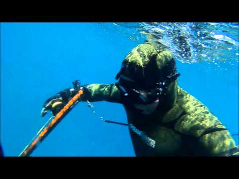 Spearfishing nz.. shark 2015 dads kingie