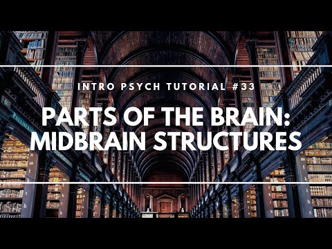 Neuron Structure Parts of a Neuron Intro Psych Tutorial 23