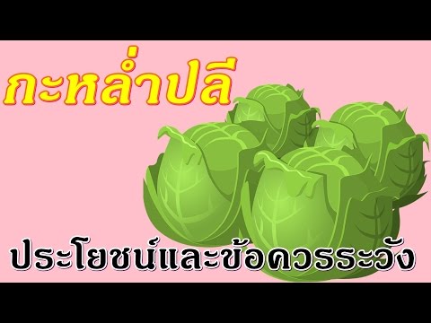 โรคสะเก็ดเงินแพทย์ผิวหนัง Kaluga กลากยาพื้นบ้านรักษา