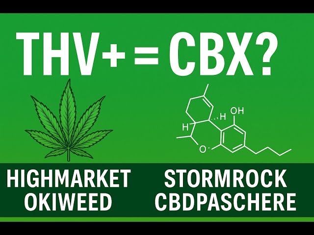 Judge.me YouTube video placeholder