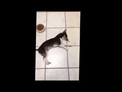 One Kernel at a Time!