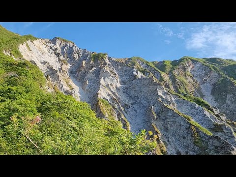 What is a subalpine zone?