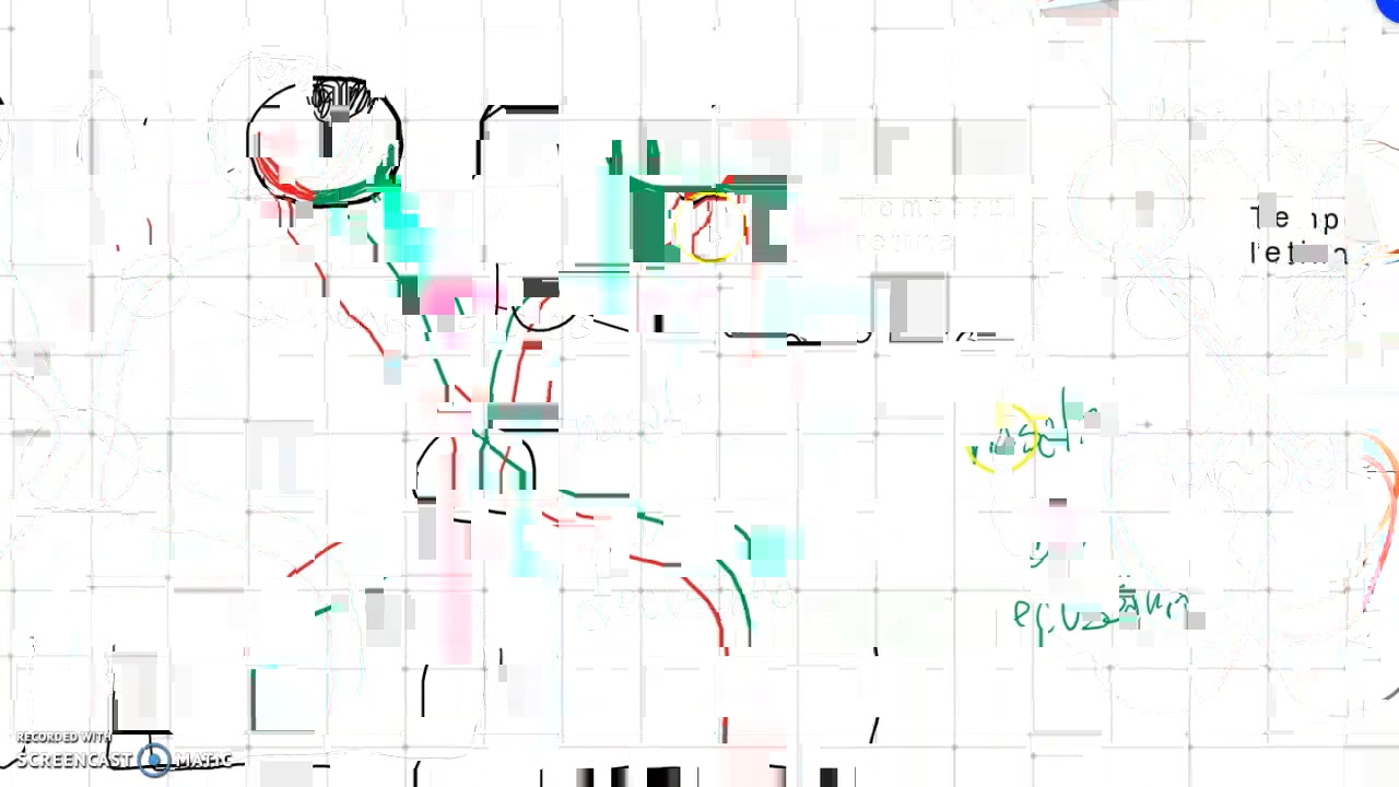 Via visiva primaria (retina-talamo-V1)