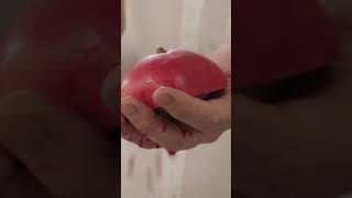 How to prepare a Pomegranate. #shorts by Jamie Oliver