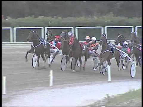 Trotto 26/02/2015 - 5° corsa