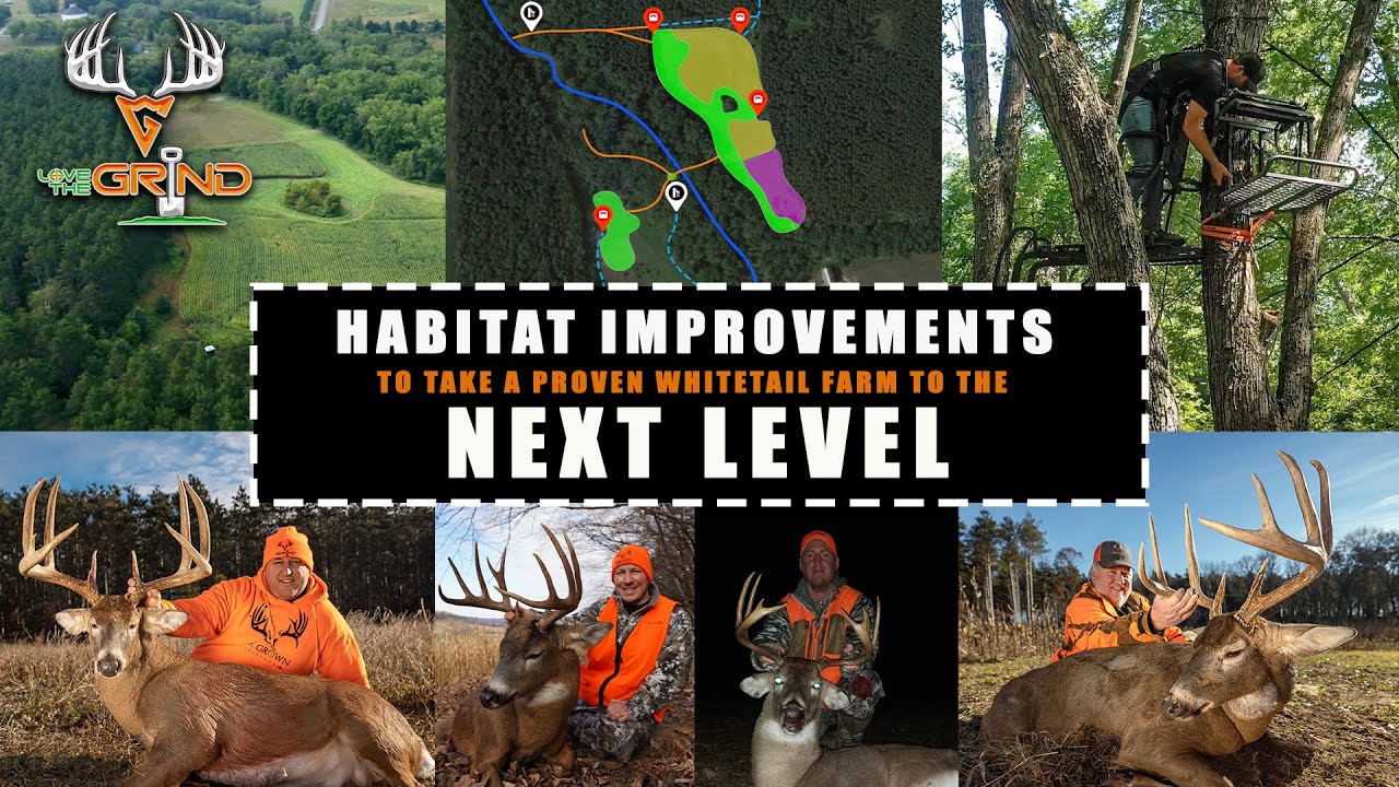 Habitat Improvements To Take A Proven Whitetail Farm To The Next Level