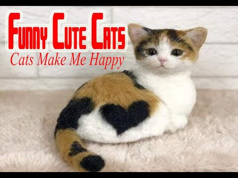 Funny Cute Cats    Cats Make Me Happy