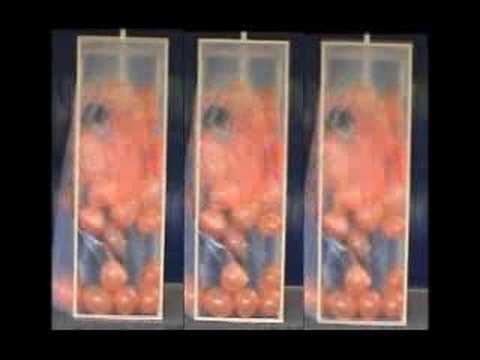 European Championship under 21 2007 final Netherlands-Serbia