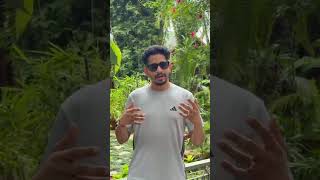 Consumer review1