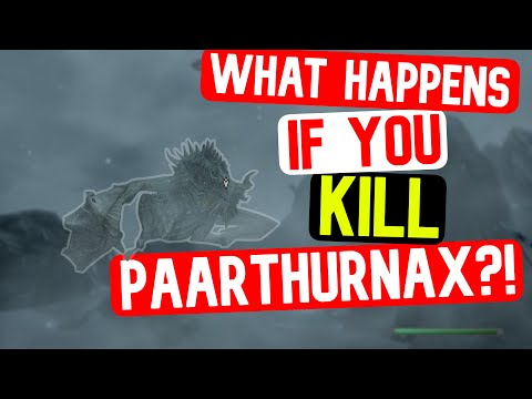 What Happens If You Kill Paarthurnax? | TES: V Skyrim