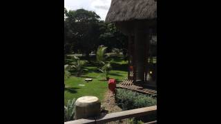 뉴칼레도니아 쉐라톤 리조트3 (Sheraton deva in New caledonia)