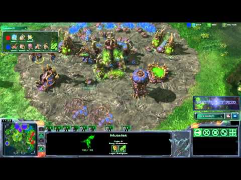 #070-1 (ZvP) IMNesTea vs LiquidHuK part 1