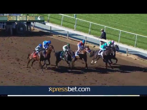 Robert B. Lewis Stakes (Gr. III) - Saturday, February 6, 2016 - HD