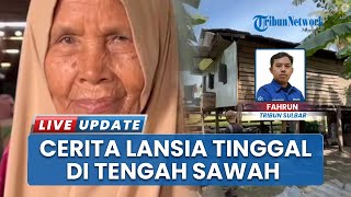 Cerita Lansia di Polman Tinggal di Tengah Sawah Jauh Dari Pemukiman, Rawat Cucu Serba Keterbatasan