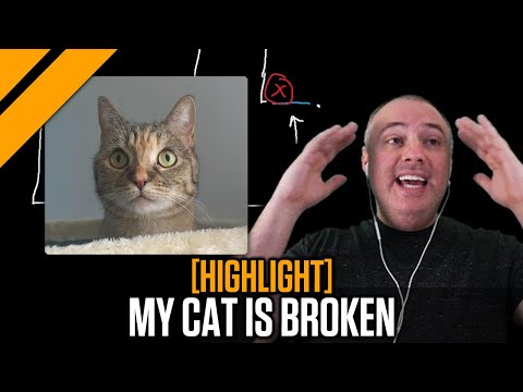 Day[9] Story Time - My Cat is Broken...Here's Why