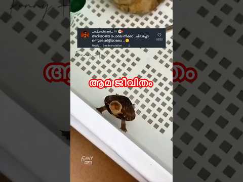 പിന്നാലെ പോവാൻ സ്പീഡും ഇല്ല 🥲 #love