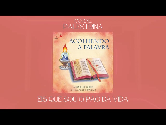 Preview do vídeo