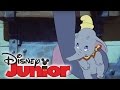 Dumbo Baby Mine Song Auf DISNEY JUNIOR