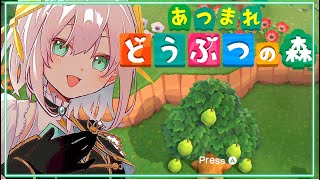 音入りおめでとう🎊 - 【どうぶつの森】 雑談 うれしいことがあった!!!【アルス・アルマル/にじさんじ】