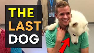 When Dogs Choose No One… 😭 Until This Moment Melts Your Heart ❤️🐶