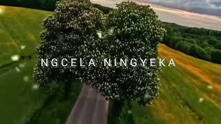 Download lagu Sdakiwe Sbali -Blaq Major feat Bless the Gentleman ×Dj Kap & King Lasko Musiq mp3