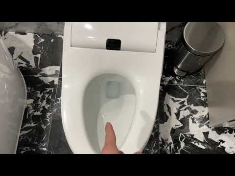 3rd YouTube video about are woodbridge toilets any good