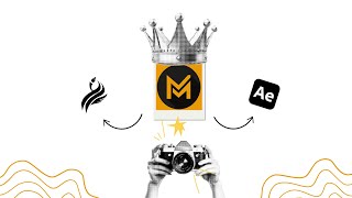 Animation like @MagnatesMedia - After Effects