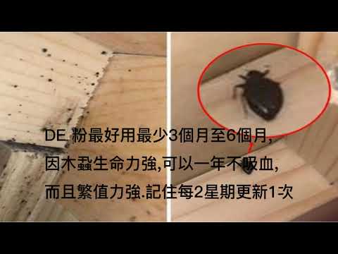 木蝨水