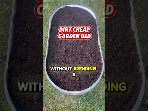 How to Fill a Raised Garden Bed for FREE!